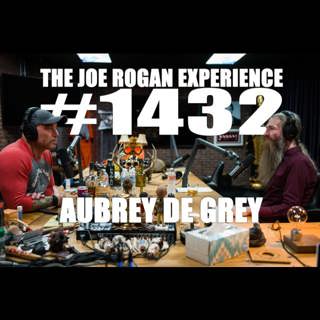 The Joe Rogan Experience