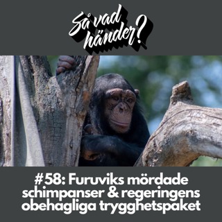 #58: Furuviks mördade schimpanser & regeringens obehagliga trygghetspaket