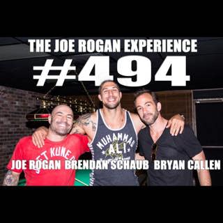 #494 - Brendan Schaub & Bryan Callen