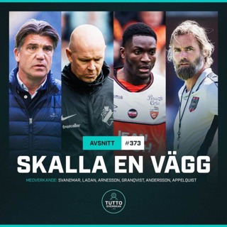 #373 Skalla en vägg