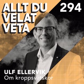 Allt du velat veta