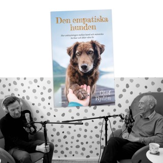 #378 Anknytningen mellan hund och människa med Olof Rydén