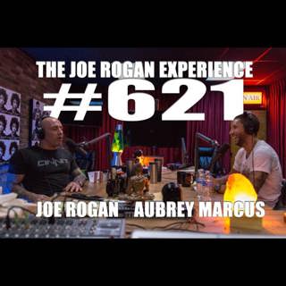 The Joe Rogan Experience