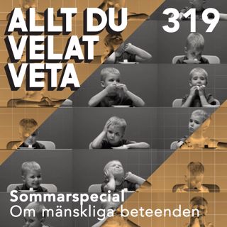 Allt du velat veta