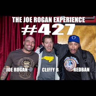 The Joe Rogan Experience