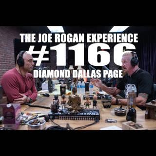 The Joe Rogan Experience