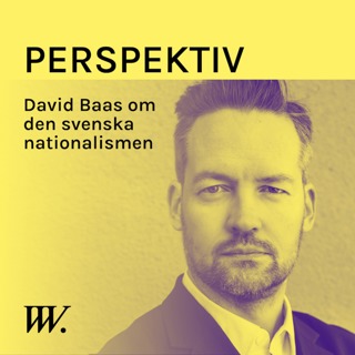 Perspektiv - med Per Grankvist