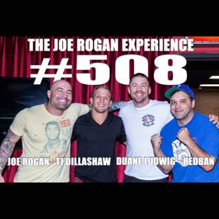 The Joe Rogan Experience