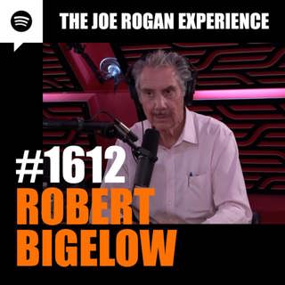 The Joe Rogan Experience