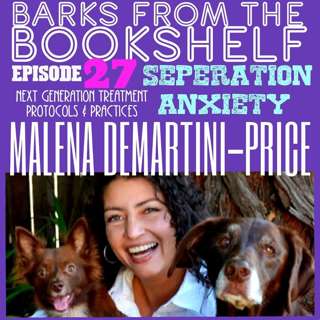 #27 Malena DeMartini-Price - Seperation Anxiety: Next Generation Treatment Protocols and Practices