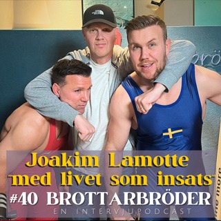 Brottarbröder