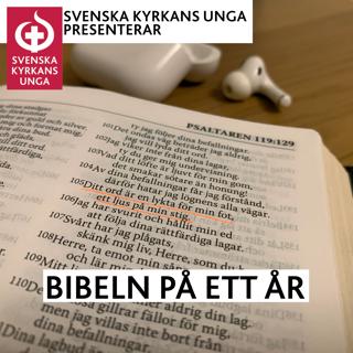 15/365 - 2022 (Bibeln på ett år)