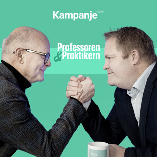 Professoren & praktikern