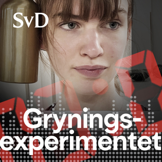 Gryningsexperimentet