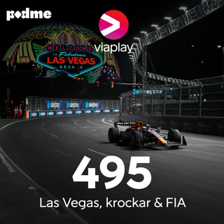 495. Las Vegas, krockar & FIA