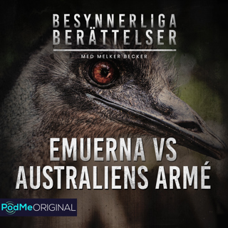 Emuerna vs Australiens armé