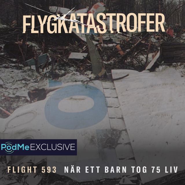 Flight 593 - När ett barn tog 75 liv
