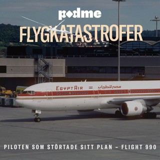 Piloten som störtade sitt plan – Flight 990