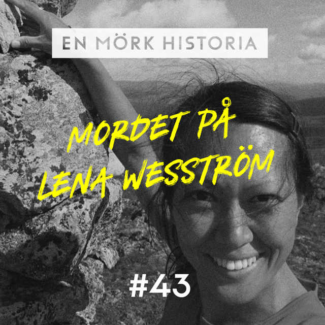 Mordet på Lena Wesström - Polisanmälningarna 2/3